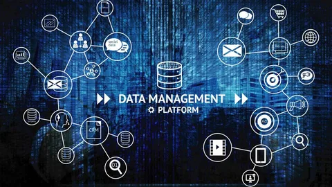 Robust Data Management System for Seamless Integration
