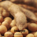 insoya